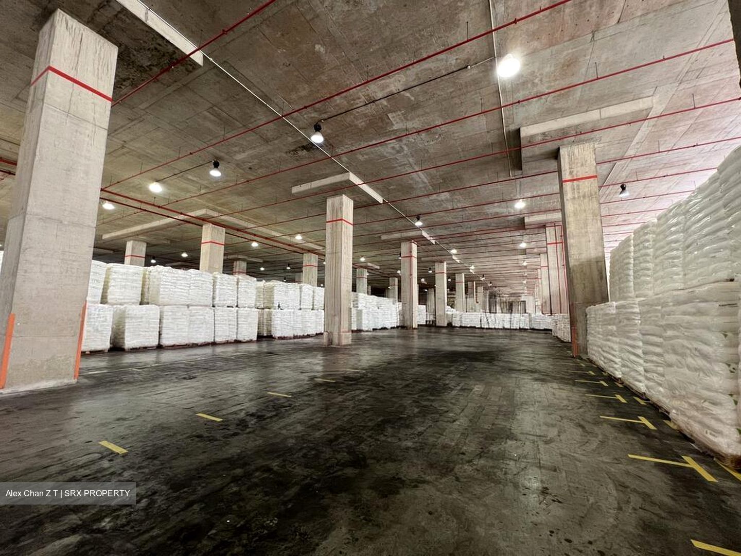 Thyssen Haniel Logistics Centre (D16), Warehouse #578705801
